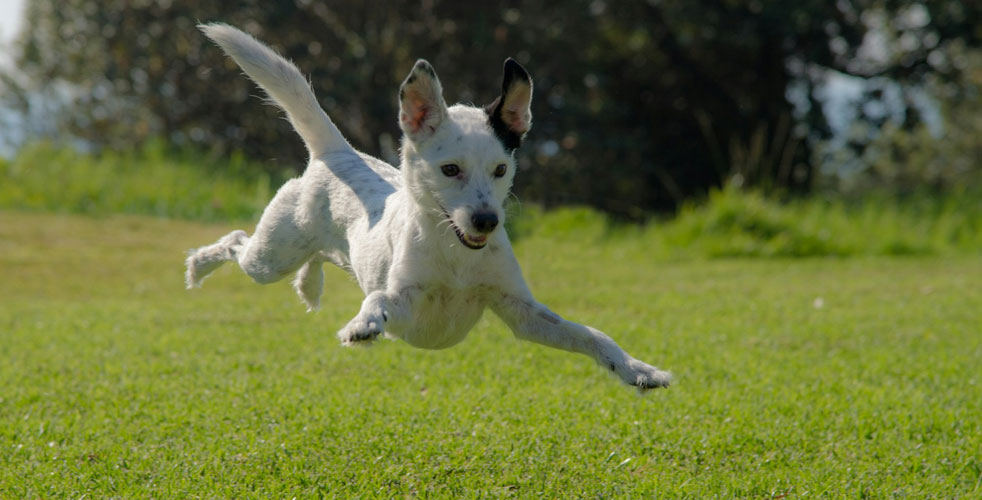 距離感を大切にするケア