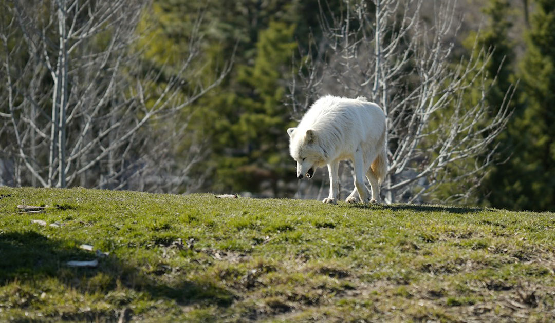 小多福堂の理念：命を置き去りにしない世界のために