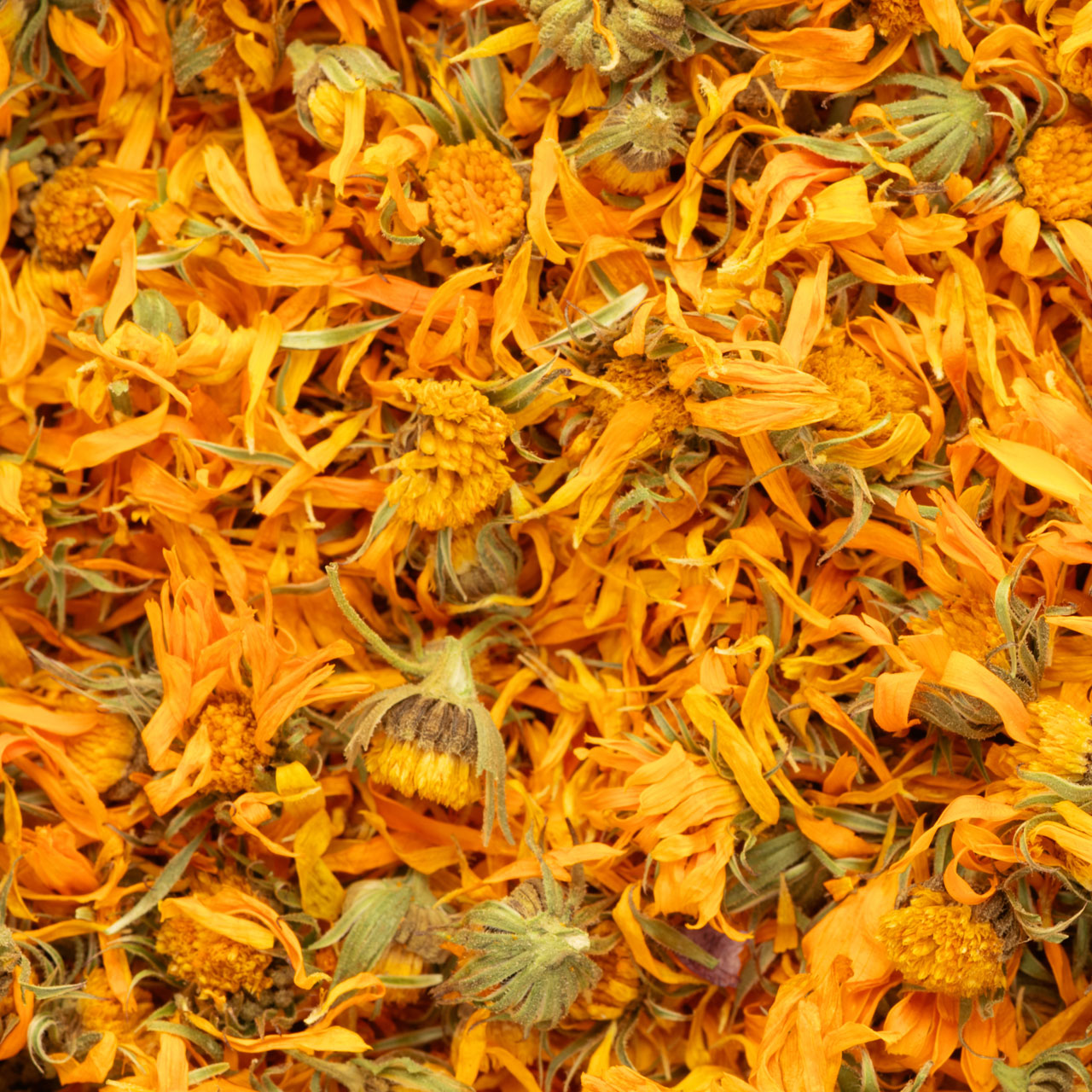 カレンデュラの花びら