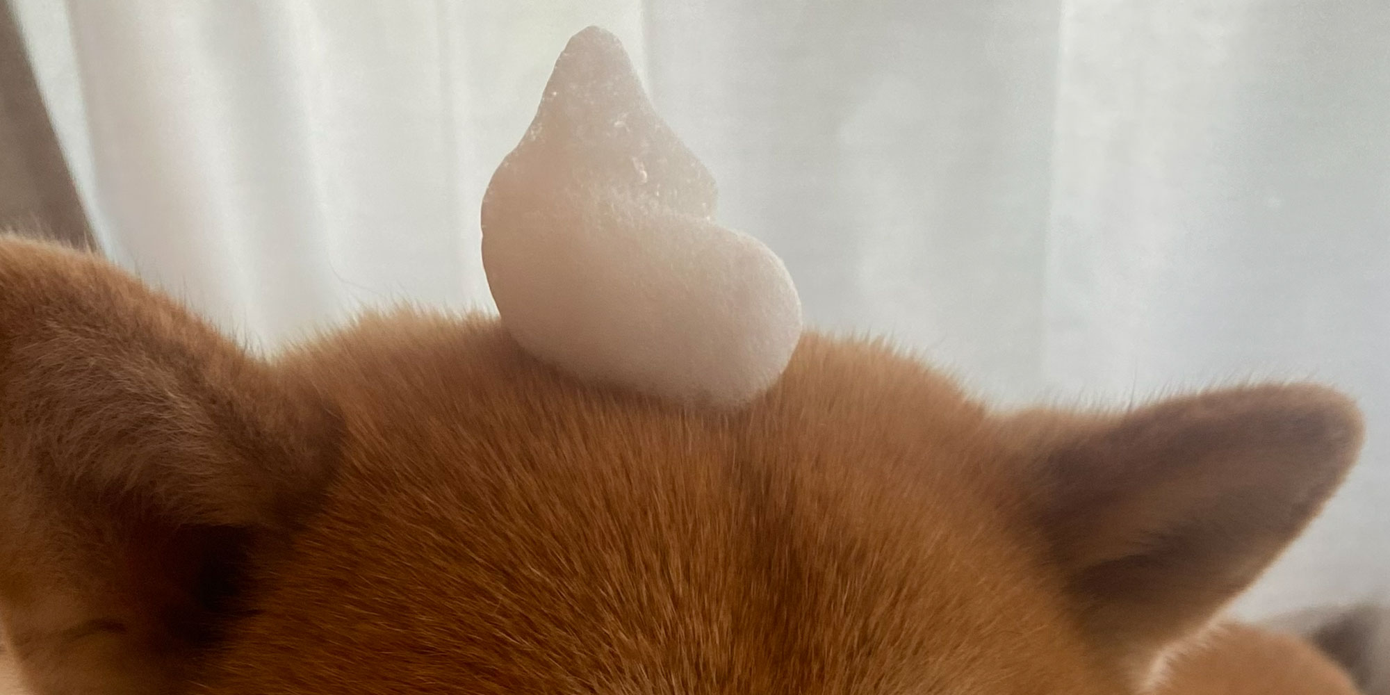 小多福堂の台所用石けん