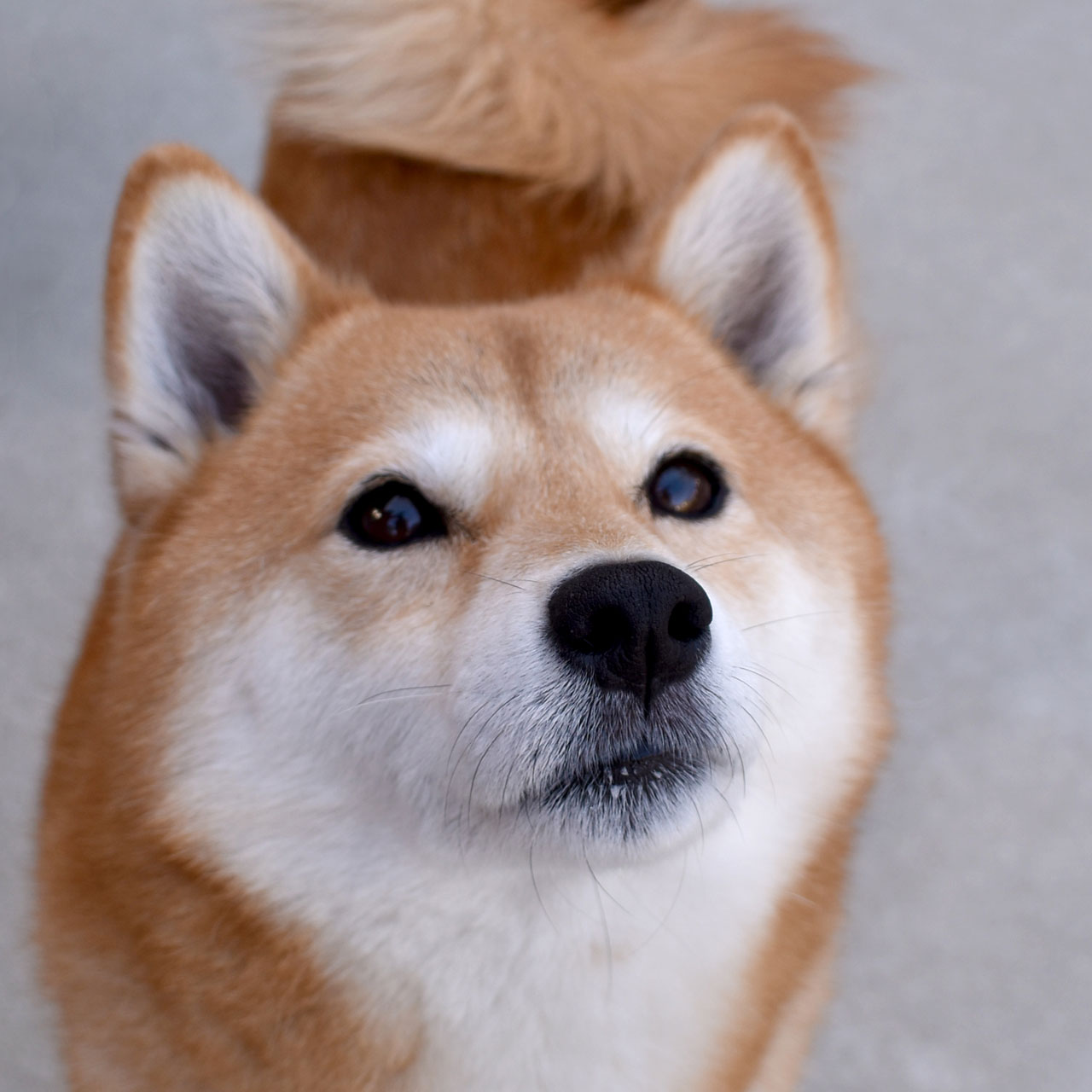 薄紅小豆石けんのあるケアの風景