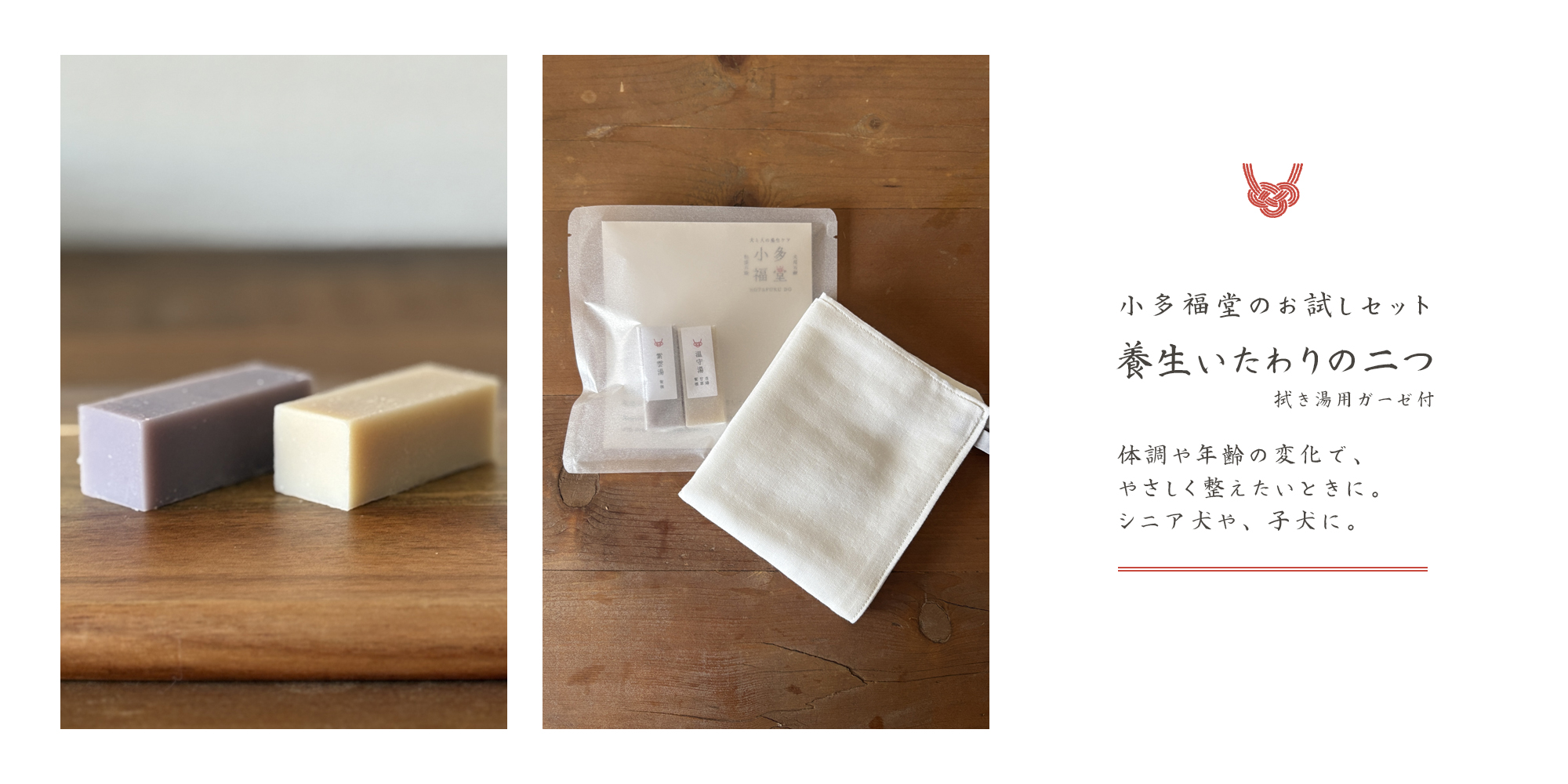 養生いたわりの二つ