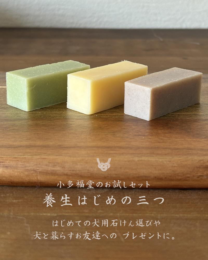 養生はじめの三つ